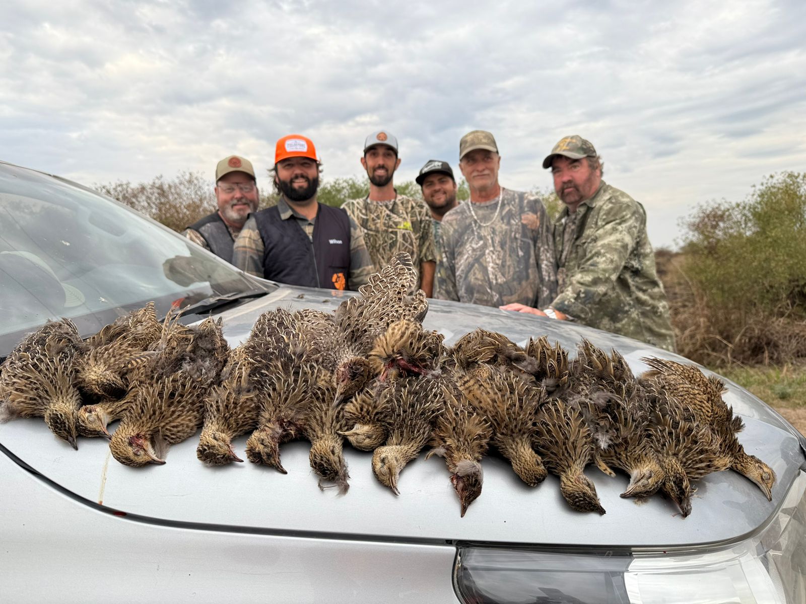 Argentina Dove Hunt